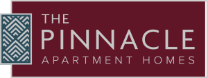 Pinnacle-logo-Color
