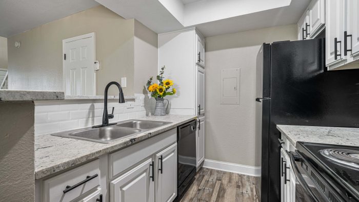 Apartment Kitchen at The Pinnacle Apartments