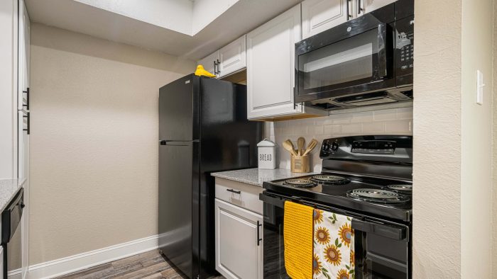 Apartment Kitchen at The Pinnacle Apartments